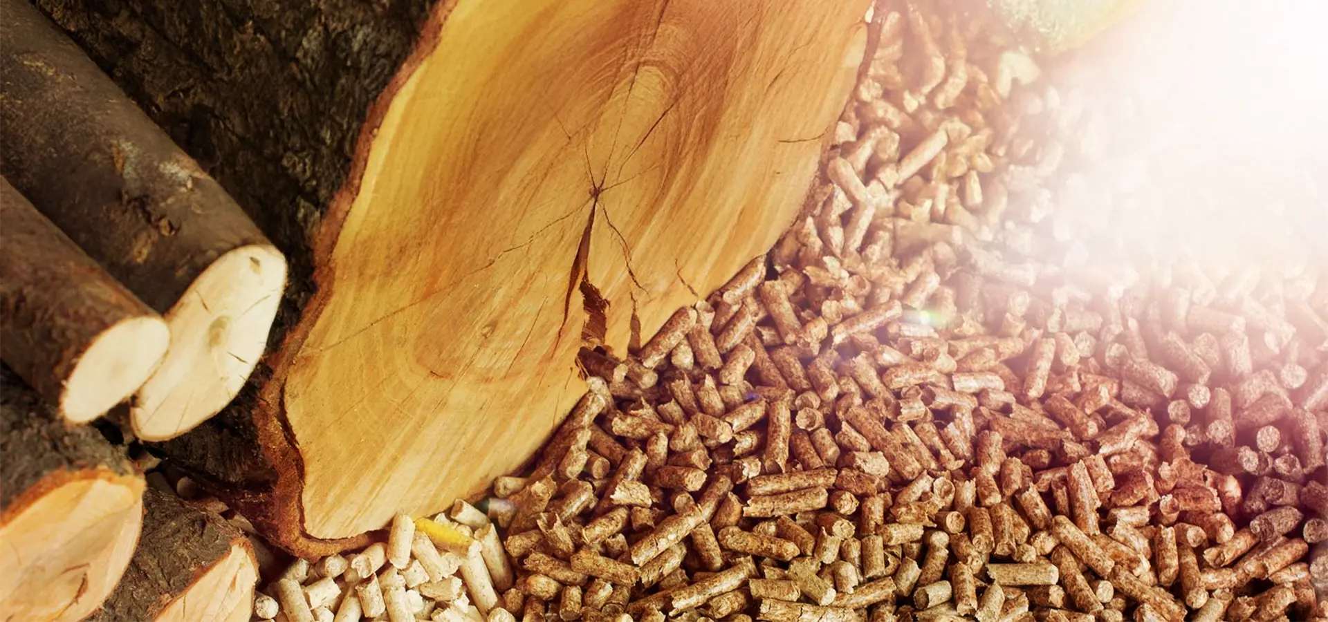 holzpellets günstig